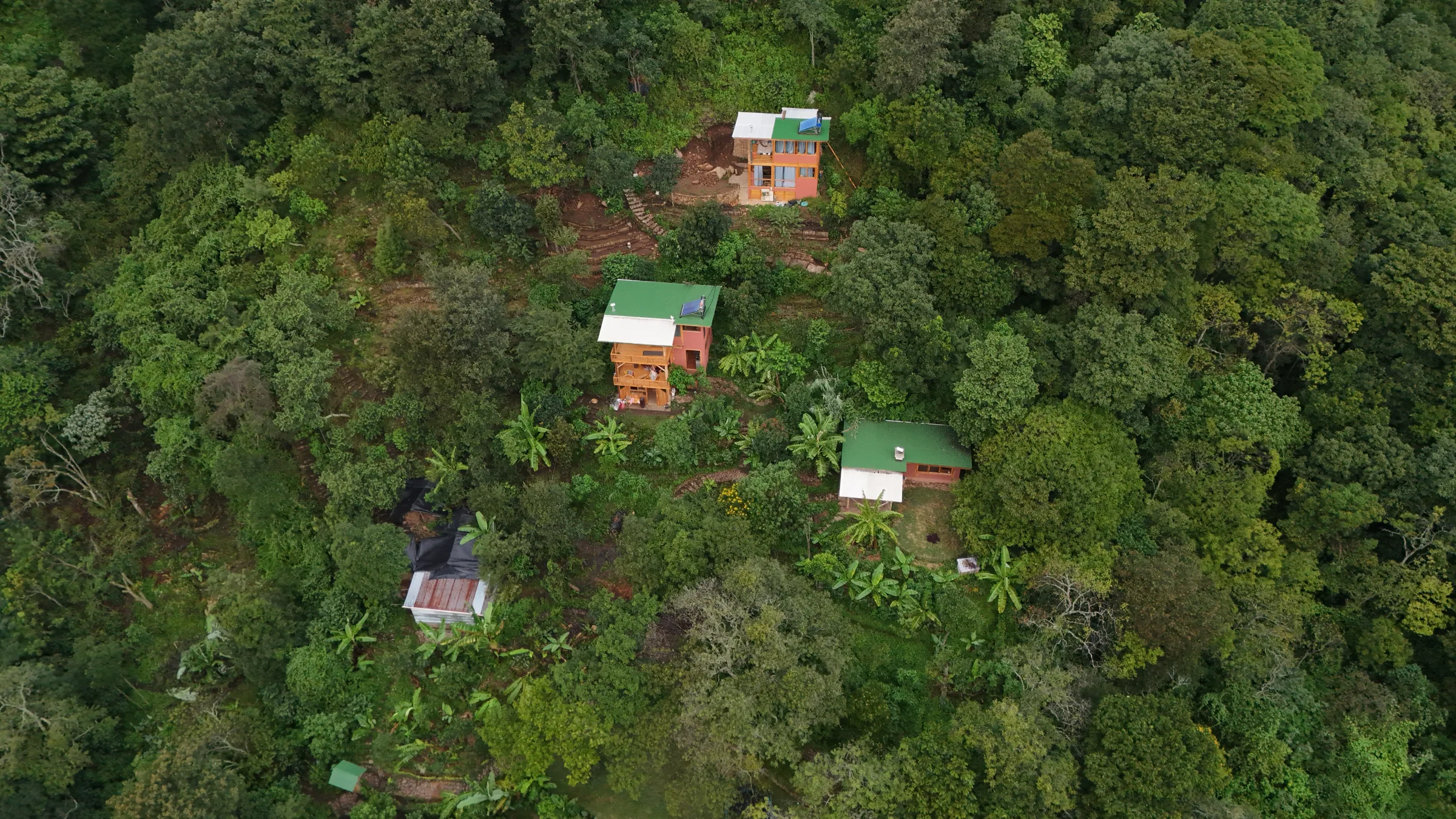 Aerial view of WuWei Village — three completed dwellings nested within a mature canopy of native trees, banana, citrus, and producing forest.